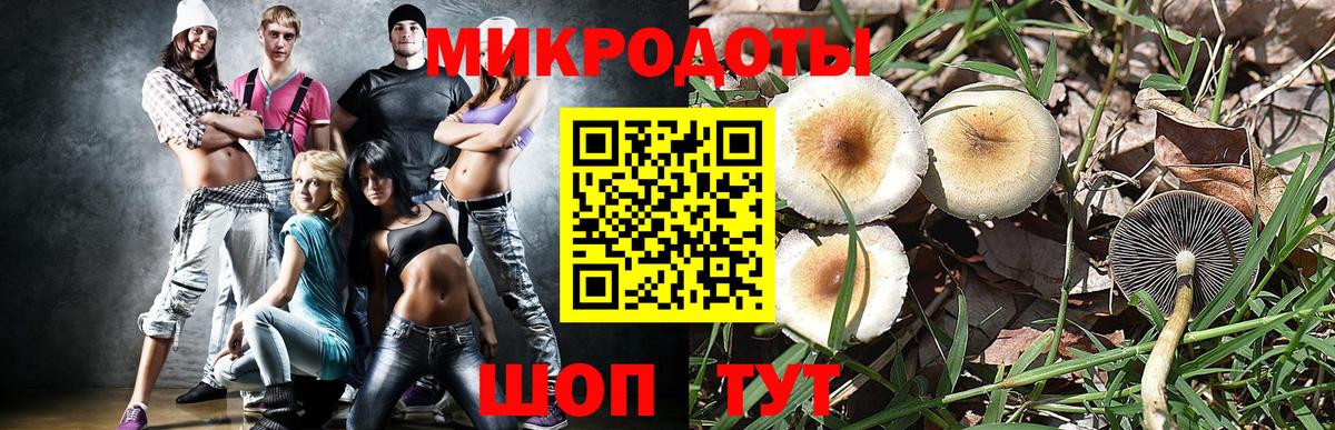 Магадан  Галлюциногенные грибы Psilocybe  Вход с VPN 