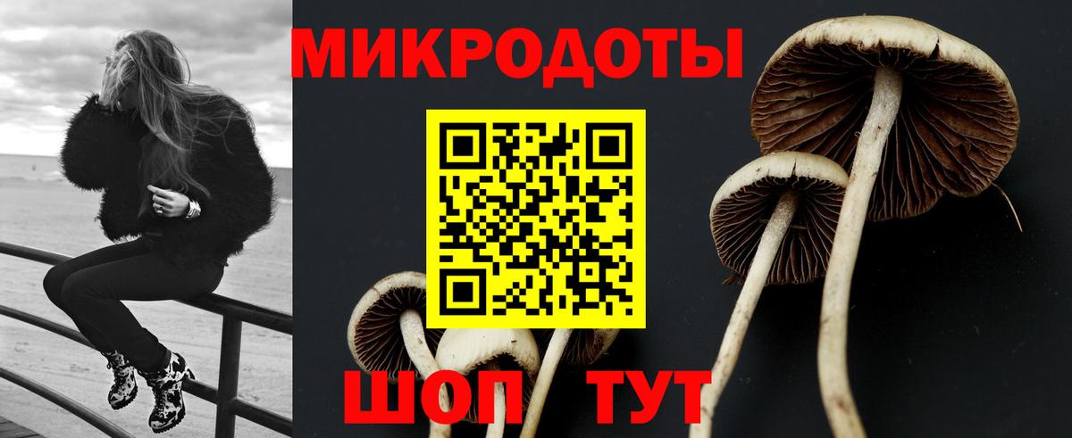 Галлюциногенные грибы прущие грибы Магадан
